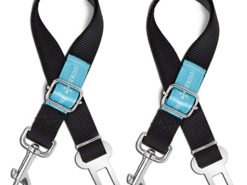 Dog Leash – 2 pack